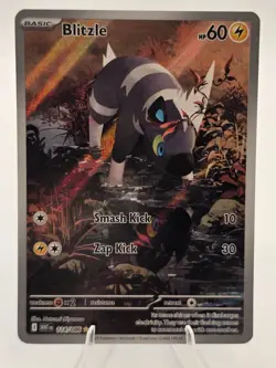 Sv: White Flare Pokemon TCG Blitzle 114/086 ILLUSTRATION RARE - Image 3