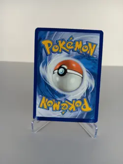 Pokemon TCG Poochyena Crown Zenith: Galarian Gallery Gg33/Gg70 Holo Holo Rare NM - Image 2