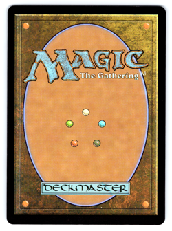 Evolving Wilds (Rainbow Foil) - Secret Lair MTG - Image 2