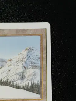 MTG Taiga Revised Edition – Dual Land – Lightly Played LP - Image 4