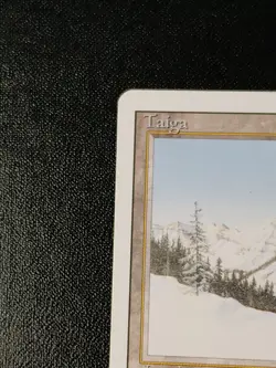 MTG Taiga Revised Edition – Dual Land – Lightly Played LP - Image 5