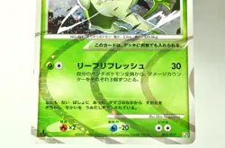 Pokemon Card Arceus 005,008/017 1stED Arceus LV.X Deck: Grass&Fire 2009 Japanese - Image 4