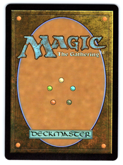 Wastes (795) - Full Art (Rainbow Foil) - Secret Lair MTG - Image 2