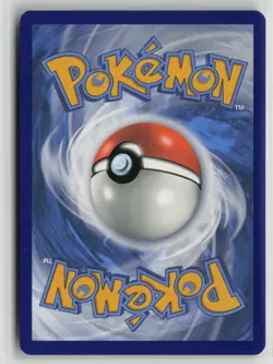Charizard (Prerelease) SWSH066 Holo Promo Sword & Shield Promo Pokemon NM - Image 2