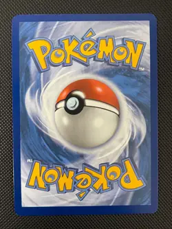 Pokemon Shuckle - Illustration Rare ME01: Mega Evolution 136/132 NM - Image 2