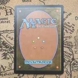 The Grey Havens FOIL BORDERLESS 443 Lord of the Rings MTG Magic the Gathering NM - Image 2