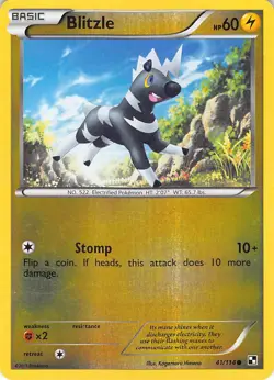 Blitzle 41/114 Common Black & White Pokemon Reverse Holo Lightly Played - Image 1