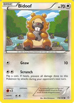 Bidoof 116/160 Common Primal Clash Pokemon Lightly Played - Image 1