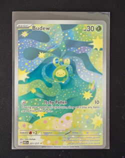 Pokemon TCG Ascended Heroes Budew IR 221/217 Holo Rare Near Mint - Image 1