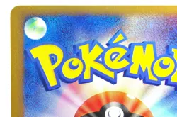 Pokemon card TCG PokePark's Torchic 047/PCG-P PokePark Promo 2005 Japanese - Image 5