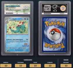 Pokemon TCG Feraligatr Illustration Contest 2024 ACE 10 SVP 213 - Image 3