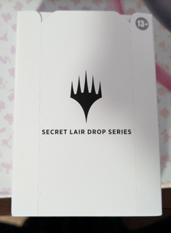 Magic the Gathering Secret Lair Drop: Saturday Morning D&D Sealed - Image 2
