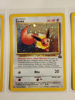 Eevee Pokemon WOTC Black Star Promo 11/53 NM/M - Image 3