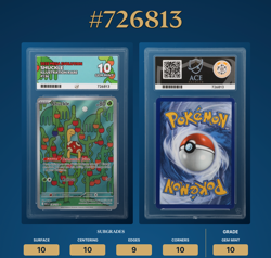 Shuckle 136/132 Illustration Rare English Pokemon Card Ace 10 Gem Mint - Image 3