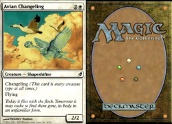 Magic the Gathering -MTG- Avian Changeling - Image 1