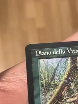 Living Plane Italian Legends - Image 3