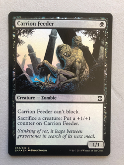 Mtg Carte Magic Eternal Masters Carrion Feeder FOIL English NM - Image 1