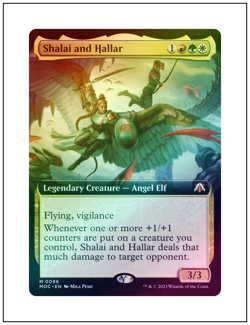 Shalai and Hallar, Extended Art Foil, March of the Machine Commander, MTG NM - Image 1