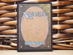 MTG Mountain 446 FOIL RETRO FRAME | NM Near Mint | CMM | 2023 - Image 2