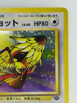 Pidgeot Japanese Pokemon card Nintendo Rare Holo TCG NO.018 LV.40 HP80 F/S - Image 3