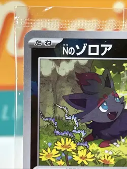 Sealed N's Zorua #200 Pokemon TCG 2025 Promo SV-P SV9 Battle Partners Japanese - Image 4