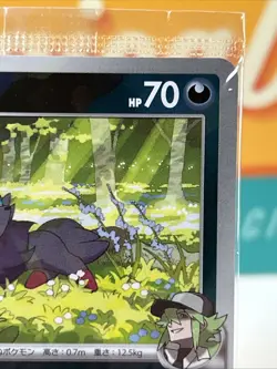 Sealed N's Zorua #200 Pokemon TCG 2025 Promo SV-P SV9 Battle Partners Japanese - Image 5