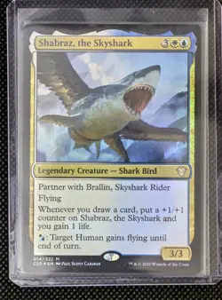 Shabraz, the Skyshark and Brallin, Skyshark Rider Commander 2020 FOIL MTG Magic - Image 2