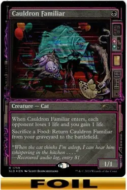 1x - Cauldron Familiar - FOIL SHOWCASE - Secret Lair Drop Series - NM MTG - Image 1