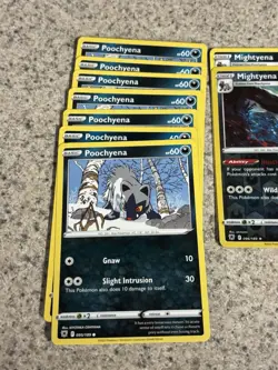 Pokemon TCG Poochyena & Mightyena 11 Card Lot Non-Holo English 095/189+ - Image 2