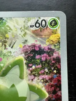 Pokemon Sprigatito 196/193 Sv02: Paldea Evolved Holo Illustration Rare (NM) - Image 3