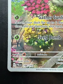 Pokemon Sprigatito 196/193 Sv02: Paldea Evolved Holo Illustration Rare (NM) - Image 4