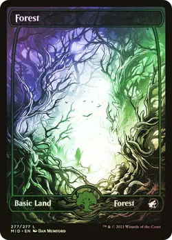 MTG FOIL Forest Full Art - Innistrad: Midnight Hunt #277 - Image 1