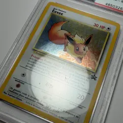 1999-2000 POKEMON TCG PROMO BLACK STAR Card #11 EEVEE-HOLO Graded PSA 8 NM-MT - Image 3