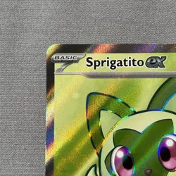 Pokemon Sprigatito Ex 251/217 Ascended Heroes Ultra Rare Full Art w/ Top Loader - Image 5
