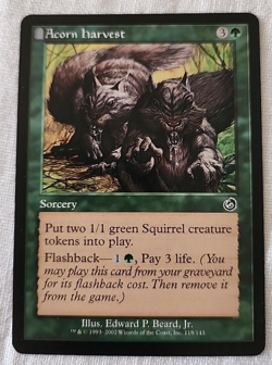 Acorn Harvest Torment Regular NM Near Mint MTG - Image 1