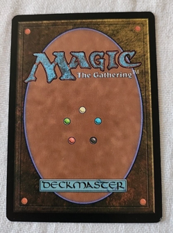 Acorn Harvest Torment Regular NM Near Mint MTG - Image 2