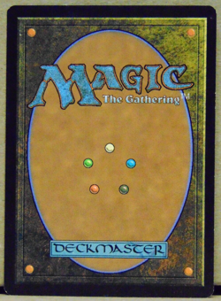 Magic the Gathering MTG Ravnica ELVES OF THE DEEP SHADOW Excellent - Image 2