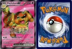 Dachsbun ex 160/142 Stellar Crown Pokemon TCG Holo Ultra Rare NM - Image 3