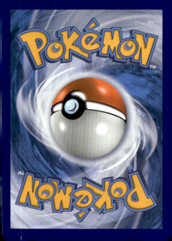 Galarian Rapidash V SWSH111 SWSH Black Star Promo Holo Rare Pokemon - Image 2