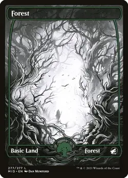 Forest-Innistrad: Midnight Hunt-Showcase-Regular-277-NM - Image 1