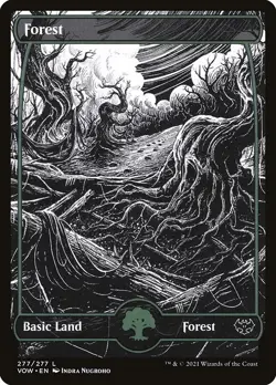Forest-Innistrad: Crimson Vow-Showcase-Regular-277-NM - Image 1