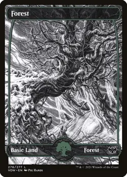 Forest-Innistrad: Crimson Vow-Showcase-Regular-276-NM - Image 1