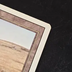 Savannah Revised Edition Regular HP Magic The Gathering MTG RARE Ships FAST - Image 2