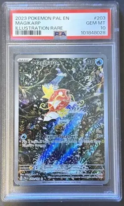 Magikarp Holo Illustration Rare Paldea Evolved Card 203/193 Sv02 PSA Gem MT 10 - Image 1