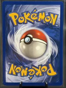 Pokemon TCG Fossil Raichu 14/62 Holo Rare Unlimited EN 90HP Arita - Image 4