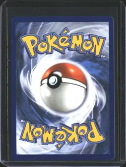 Black Belt's Training 255/217 Ultra Rare Ascended Heroes Pokemon NM/M - Image 2