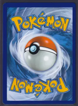 Pokemon - Pikachu - SWSH153 Holiday Calendar Promo - Holo Rare - NM - Image 2