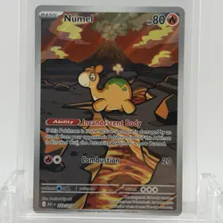 Pokemon TCG Ascended Heros Numel #223/217 Illustration Rare NM- - Image 1