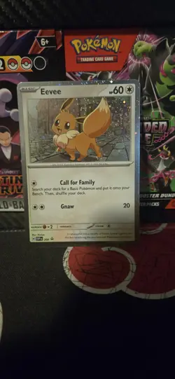 Pokemon TCG Eevee #200 Black Star Promo Destined Rivals Card Mint Never Played - Image 1