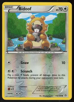 Bidoof 116/160 Common Primal Clash Pokemon Reverse Holo Lightly Played - Image 1